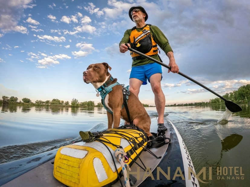 paddleboard water safety tips dry bag via magazine shutterstock 1445191607